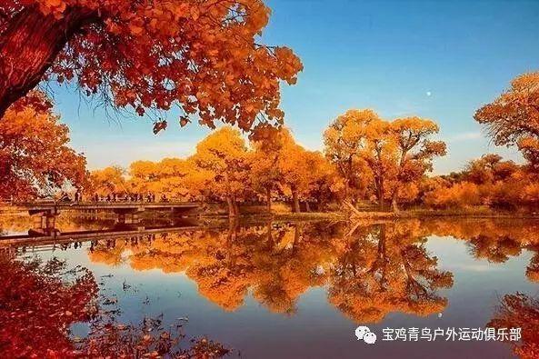 探索知识的红烧土豆红烧肉怎么做问答平台